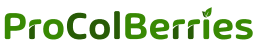 ProColBerries