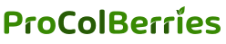 ProColBerries